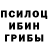 Галлюциногенные грибы мицелий MORO 234