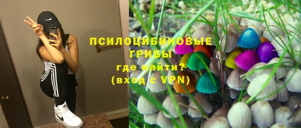 МДМА Гатчина