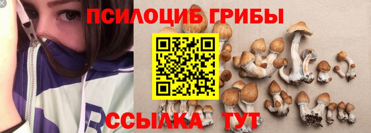 хочу наркоту  Галлюциногенные грибы Magic Shrooms  Ишимбай  Вход с VPN  Галлюциногенные грибы Psilocybine cubensis 